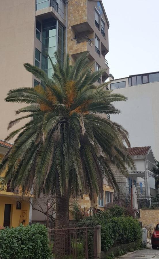 Apartman Centar Lux Budva Extérieur photo